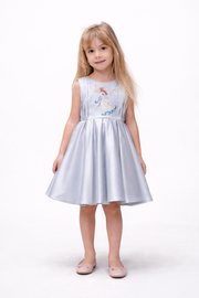 Elegant Silver Blue Girls’ Dress with Embroidered Detail